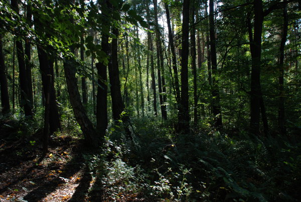 2008-09-27_14-49-08