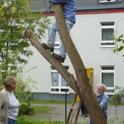 Bild013