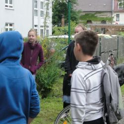 Bild016