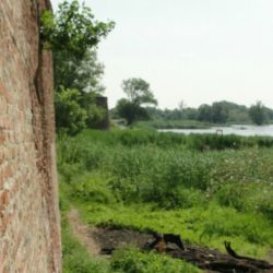 Bild009