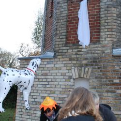 Bild015