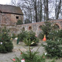 Bild018