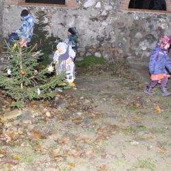 Bild021