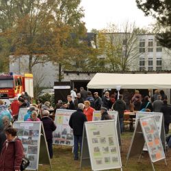 Bild17