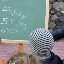 Bild56