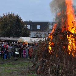 Bild62