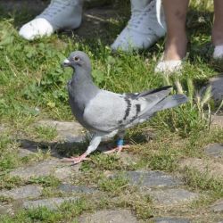Bild025