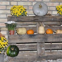 Bild017