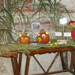 Bild011