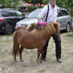 Bild04