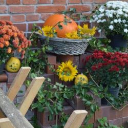 Bild004