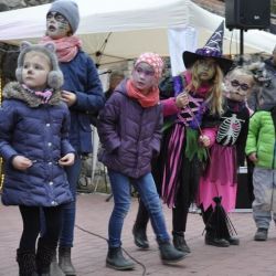 Bild17