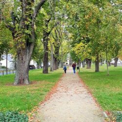 Bild02