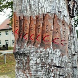 Bild54