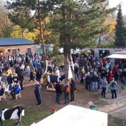 Bild08