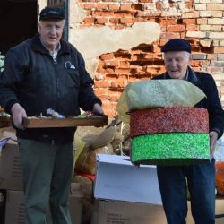 Bild18