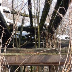 Bild015