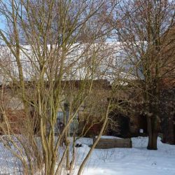Bild018