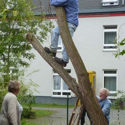 Bild009
