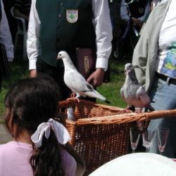Bild027