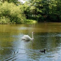 Image004